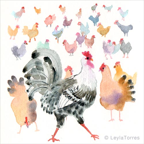 watercolor-rooster-and-hens-500