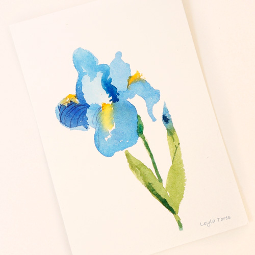 watercolor iris