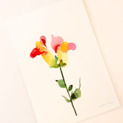 watercolor snapdragon