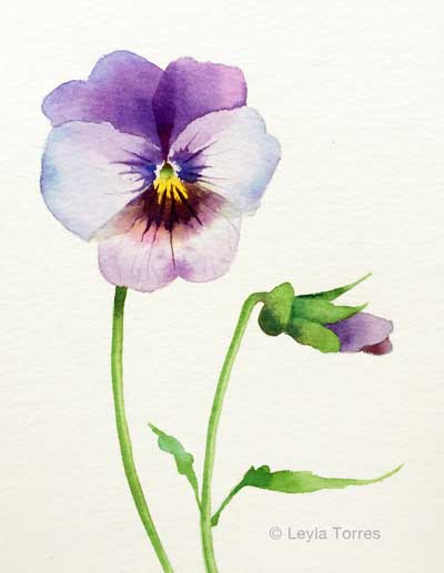 Painting a Pansy in Watercolor post image
