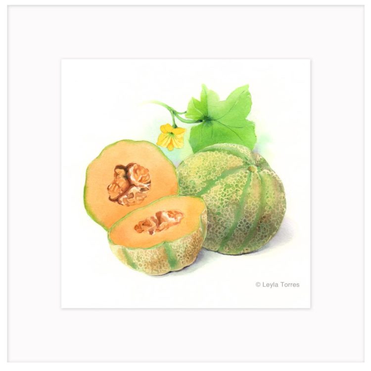 Cantaloupe -Watercolor Art