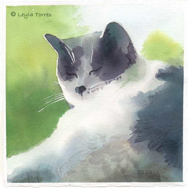 Painting my Cat in Watercolor post image