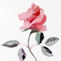 Thumbnail image for Painting a Rose in Watercolor