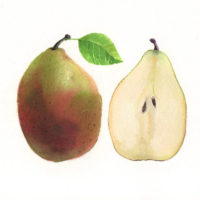 Thumbnail image for How to Paint a Pear in Watercolor