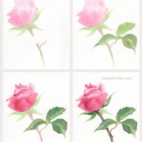 Thumbnail image for How to Paint a Rose in Watercolor