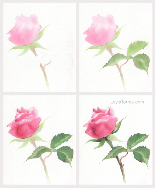 How to Paint a Rose in Watercolor post image